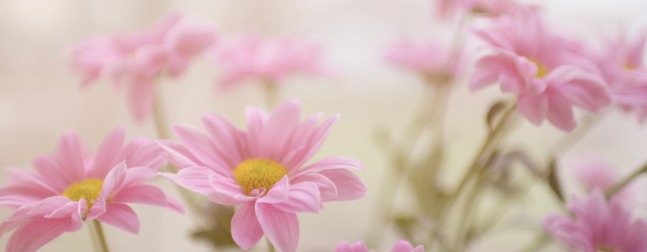 Giclee Fine Art Prints